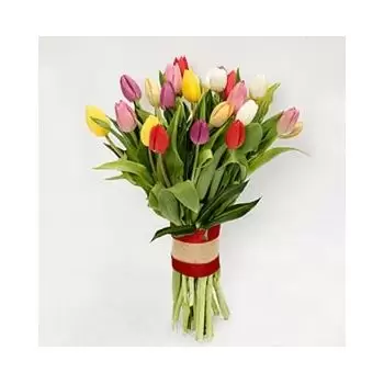 Al-Luqiyah blomster- Fantastiske tulipaner Blomst Levering