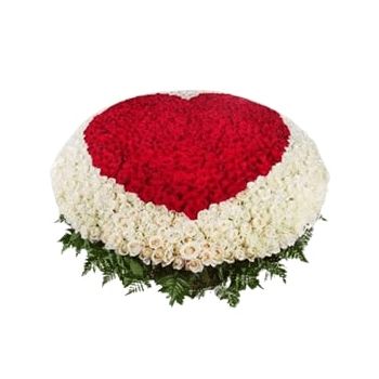 بائع زهور المملكة العربية السعودية- 600 وردة زهرة التسليم