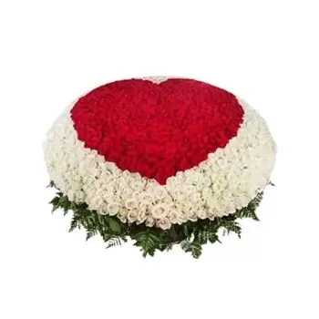 Ал-Бади аш-Шамали цветя- 600 рози Цвете Доставка