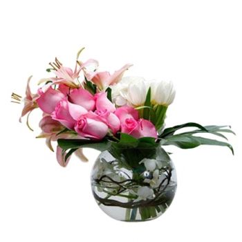 Ad Dilam blomster- Hvit og rosa Blomst Levering