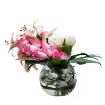ดอกไม้ เมดินา (อัล-Madīnah) - ขาว & ชมพู ดอกไม้ จัด ส่ง