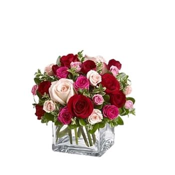 Abqaiq online Blomsterhandler - 24 Blandede roser Buket