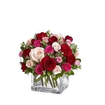 Al-Badi ash-Shamali-virágok- 24 Vegyes rózsa Virág Szállítás