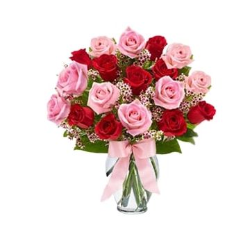 بائع زهور جدة- الورود الوردية والحمراء زهرة التسليم