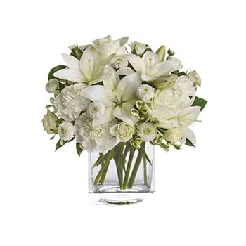 flores de Arábia Saudita- Espírito Puro Flor Entrega
