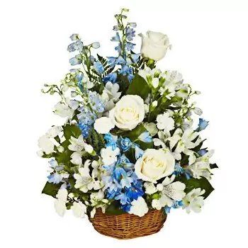 fleuriste fleurs de Santo Domingo- Bleu Lagune Bouquet/Arrangement floral