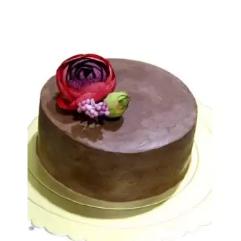 fleuriste fleurs de Dammam- Gâteau au chocolat belge Fleur Livraison