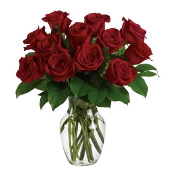Abha blomster- 12 røde roser Blomsterarrangementer bukett