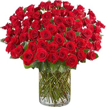 Abqaiq blomster- 100 roser i en vase Blomst Levering
