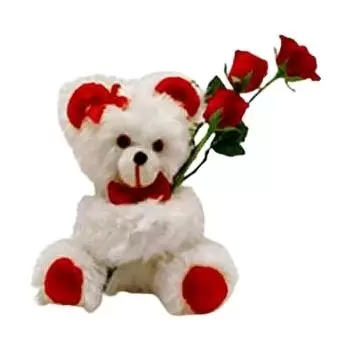 Dammam Online kvetinárstvo - 3 ruže a medvedík Kytica