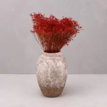 בילבאו פרחים-  פרח משלוח