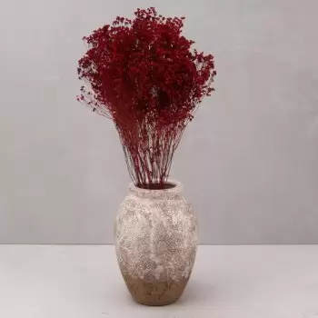 Almuñecar bloemen bloemist- Elegant Bloem Levering