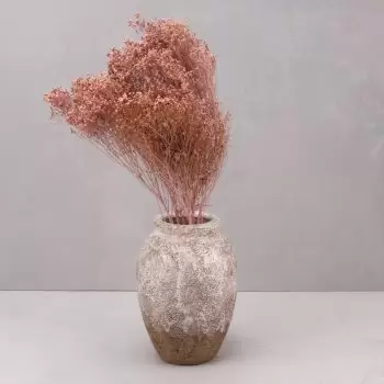 Almuñecar bloemen bloemist- Perfect roze Bloem Levering