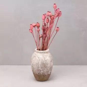 Almuñecar bloemen bloemist- Koninklijke papaver Bloem Levering