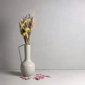 بائع زهور بالما ديل ريو-  زهرة التسليم