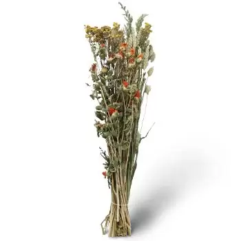 Calatayud blomster- Assorteret Blomst Levering
