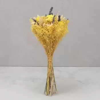 بائع زهور ميخاس / ميخاس كوستا- أصفر تمامًا زهرة التسليم
