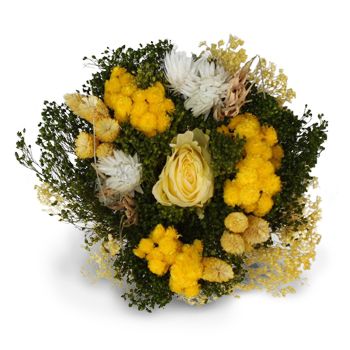 Mijas / Mijas Costa květiny-  Květ Dodávka
