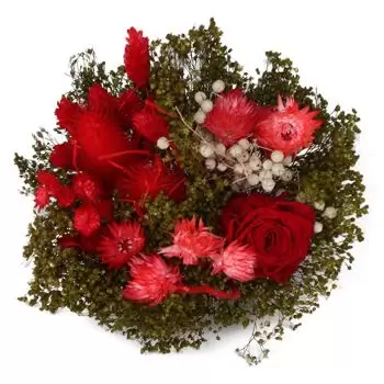 Muxamel-virágok- Red Charm Virág Szállítás