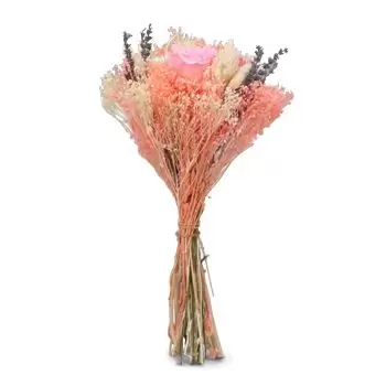 Bacarot flowers  -   Flower Delivery