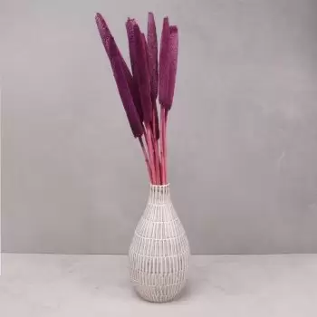 Granada flowers  -  Color Splash Flower Delivery