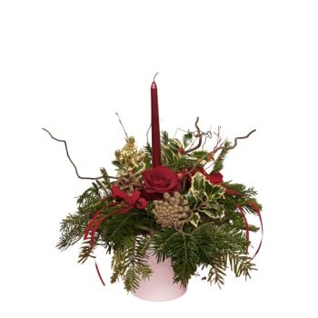 Vitina Floristeria online - Planta de Navidad Ramo de flores