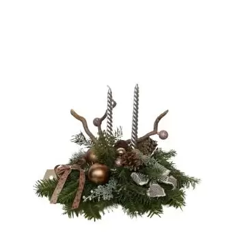 ミトロヴィツァ 花- クリスマスの装飾 花 配信