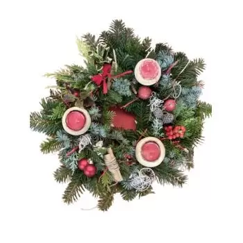 Istok flowers  -  Wall Decor  Flower Delivery