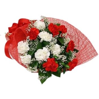 דמאם פרחים- חג מולד שמח פרח משלוח