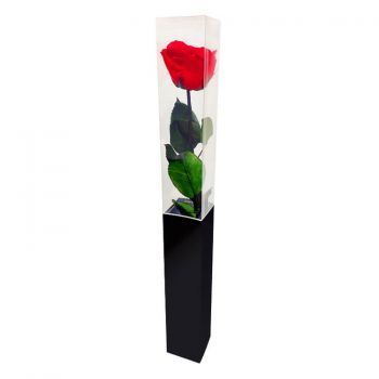 Bekegem flowers  -  Eternal Red Rose 55 cm Flower Delivery
