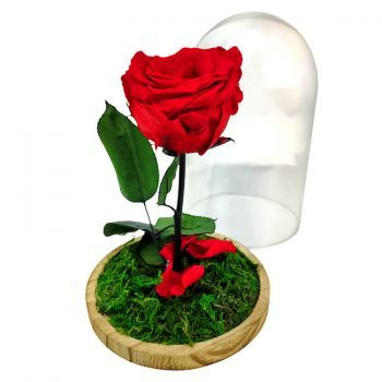 Pæn blomster- Eternal Red Rose Dome Blomst Levering