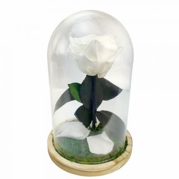 A Nerja-virágok- Örök fehér rózsa kupola Virág Szállítás
