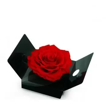 Murcia Blumen Florist- Eine ewige rote Rosenknospe Bouquet/Blumenschmuck