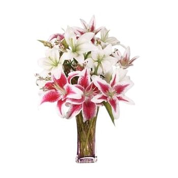 بائع زهور Adh Dhibiyah- مزيج الزنابق الرائعة زهرة التسليم