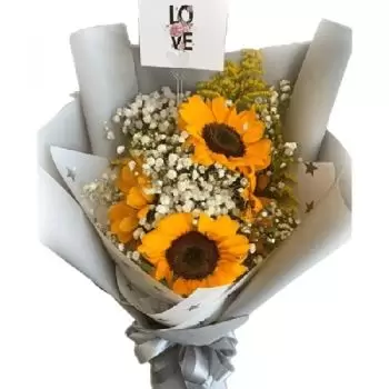 Al Bahah květiny- Podmanivé slunečnice Květ Dodávka