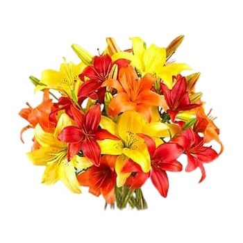 flores de Arábia Saudita- Llillies asiáticos coloridos Flor Entrega