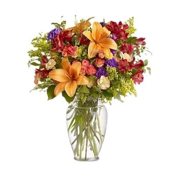 מכה (קרית שמונה) חנות פרחים באינטרנט - תתעודד זר פרחים