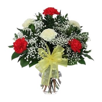 Al Jumum online Blomsterhandler - Blandede farver nelliker Buket