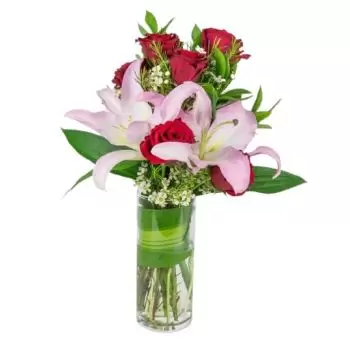 Ḥakimat kwiaty- Mieszane orientalne kwiaty Kwiat Dostawy