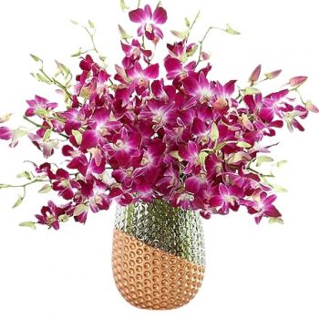 Džidda květiny- Fialové orchideje Květ Dodávka