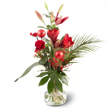 Шарлероа цветя- Коледно настроение Букет/договореност цвете