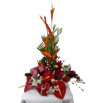סנט פיליפ חנות פרחים באינטרנט - חג מולד טרופי זר פרחים
