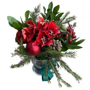 صوفيا الزهور على الإنترنت - عيد الميلاد الأحمر باقة