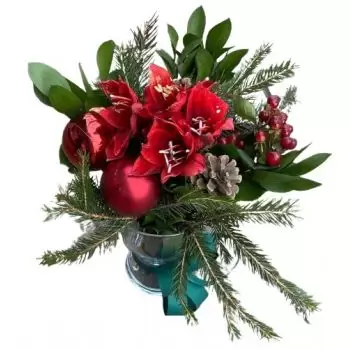 ΣΟΦΙΑ λουλούδια- Χριστουγεννιάτικο κόκκινο Μπουκέτο/ρύθμιση λουλουδιών