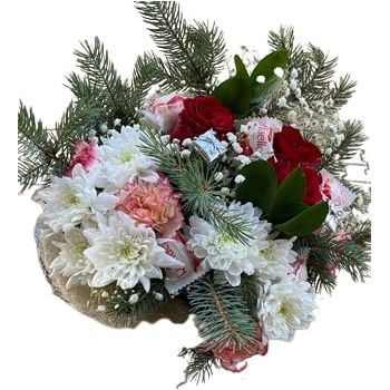 Sofija cvijeća- Slikovito božićno cvijeće Cvjetni buket/aranžman