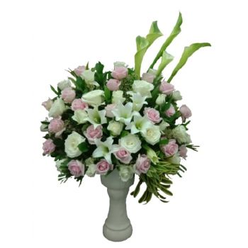 Пурпокерто цветя- Коледа с бял и розов храст Цвете Доставка