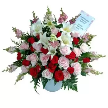 ג'קרטה פרחים- ג'ינגל הופ חג המולד פרח משלוח