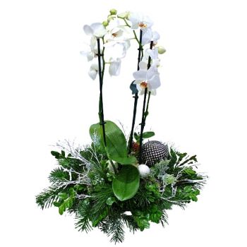 הואראגאראני חנות פרחים באינטרנט - חג המולד מבריק זר פרחים