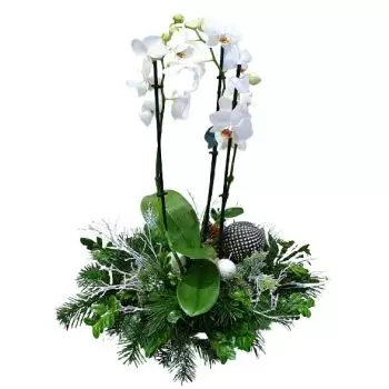 Flateyri bloemen bloemist- Glanzende Kerst Bloem Levering