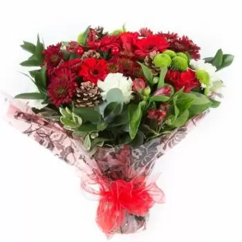 flores Manchester floristeria -  Floración navideña Ramos de  con entrega a domicilio